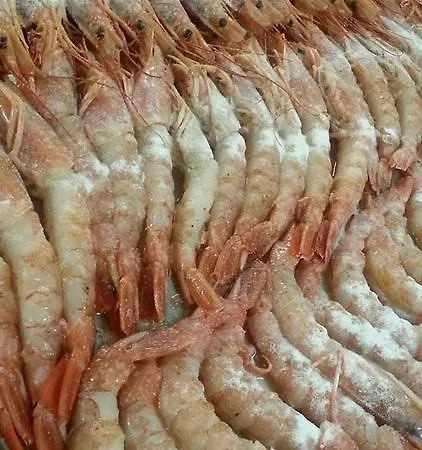 酒店 瑞丽酒店 3*